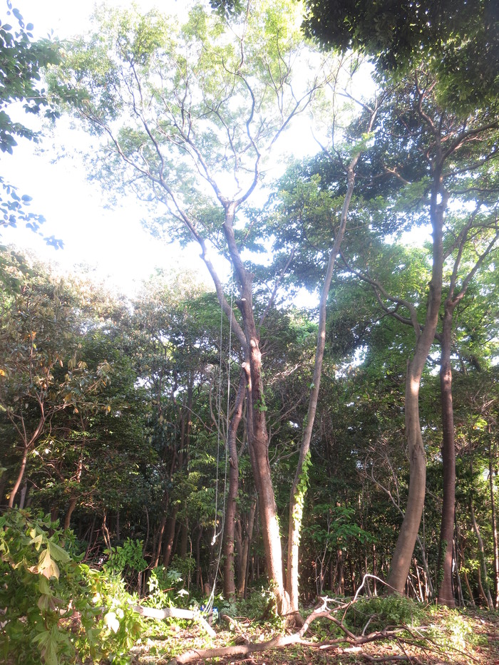 e0271803_2018384.jpg