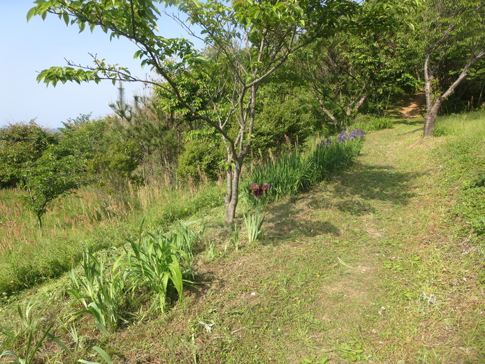 e0271803_2054363.jpg