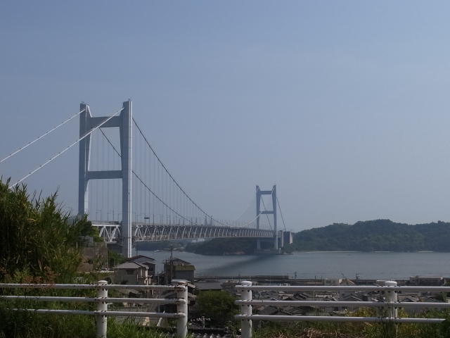 f0197703_1155496.jpg