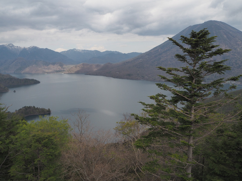 a0320705_10354554.jpg