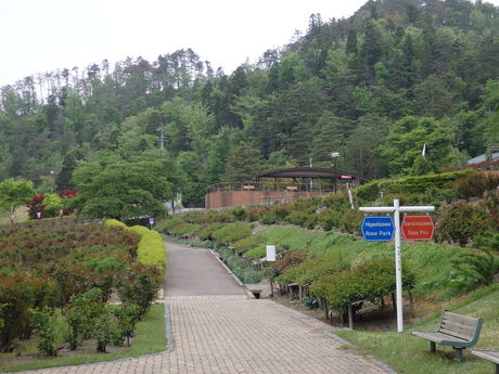 f0250515_13163276.jpg