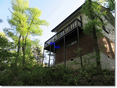 b0167519_8492084.gif
