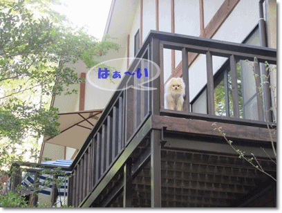 b0167519_8493891.gif