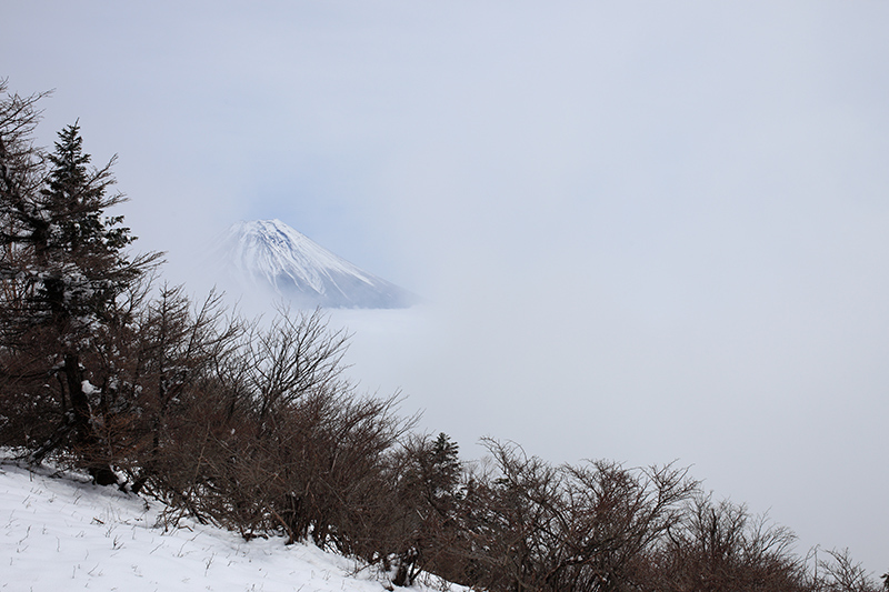 富士山を探して　毛無山（天子山地）_c0369219_17195392.jpg