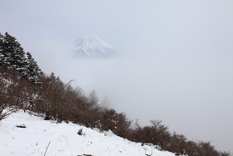 富士山を探して　毛無山（天子山地）_c0369219_17235797.jpg