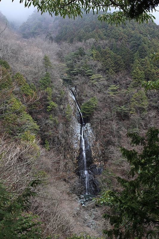 富士山を探して　毛無山（天子山地）_c0369219_19523939.jpg