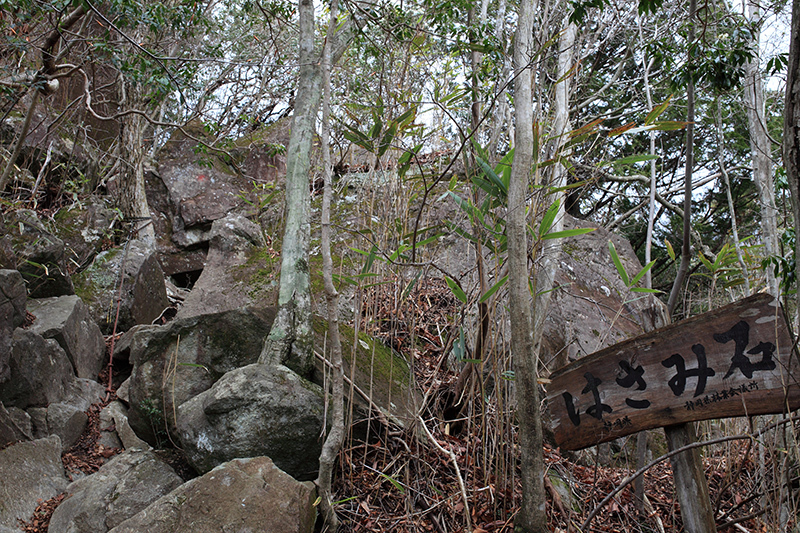 富士山を探して　毛無山（天子山地）_c0369219_20005238.jpg