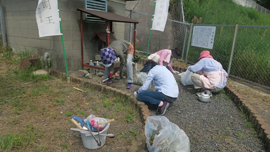 草取りとお詣りとゴミ拾い　ほこらとめこぼれの松敷地内_f0231422_1846388.jpg