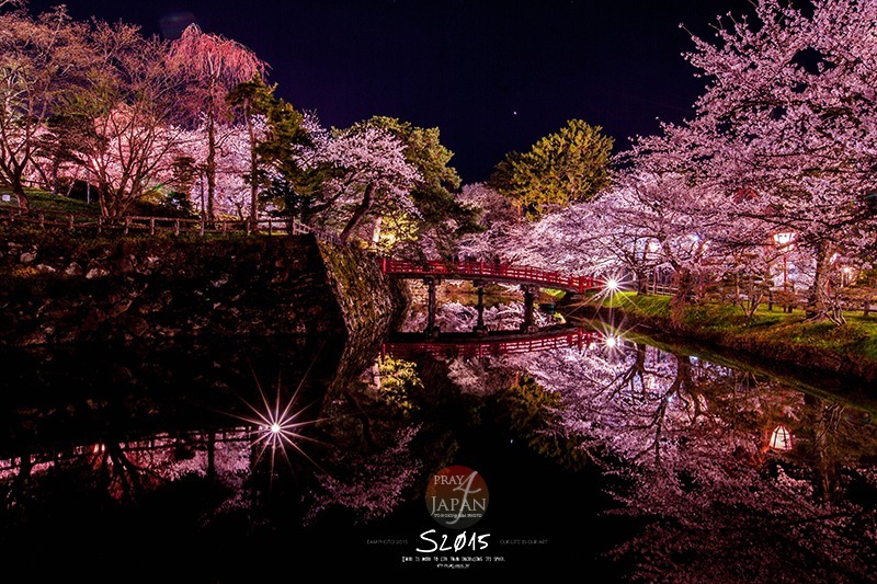 2015「お気に入り桜ショット」ありがとうございました!_f0357923_13234297.jpg