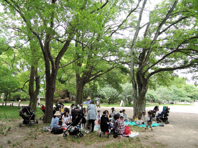 府立植物園　ピクニックします！（2015.5.12)_b0080027_2115782.jpg