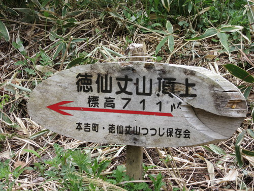 a0248728_21174770.jpg