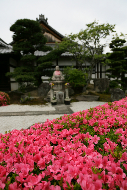 初夏の妙心寺 －慈雲院－_b0169330_10321956.jpg