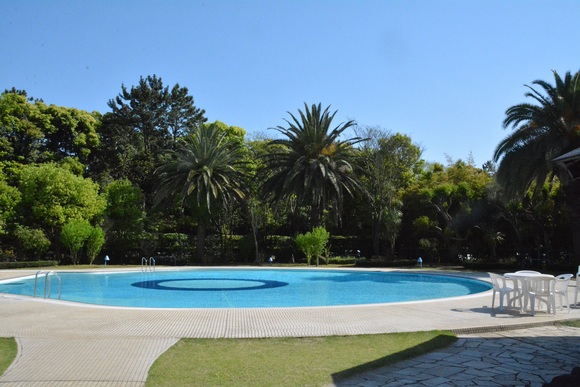 f0124830_103997.jpg