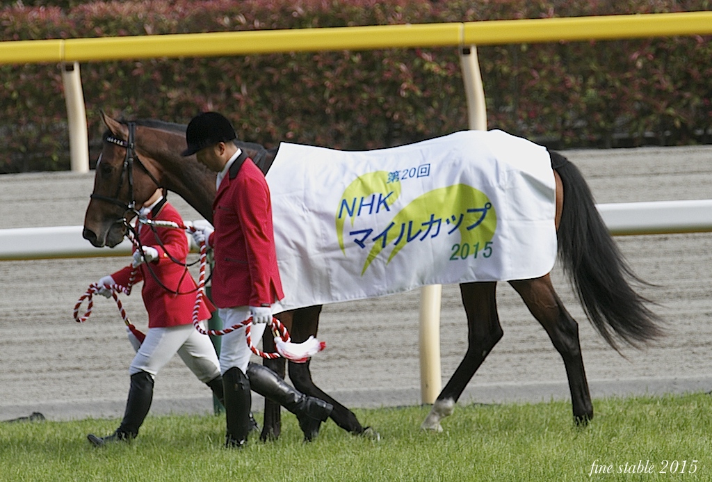 0511 のりチャンG1連勝_c0240132_5221597.jpg