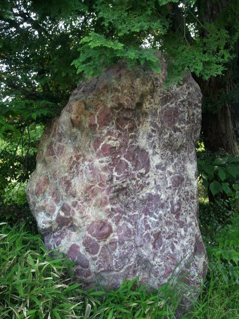 c0195134_2311411.jpg