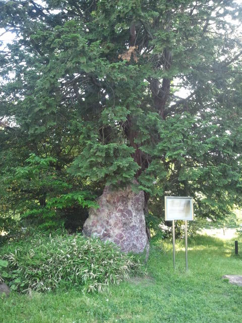 c0195134_2312516.jpg