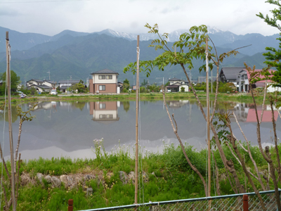 c0343936_23262679.jpg