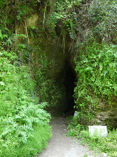 e0114137_15341786.png
