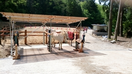 e0145441_03130500.jpg