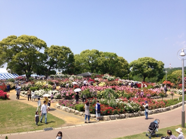 a0244943_14015211.jpg