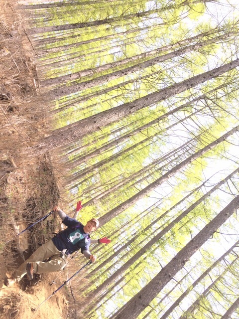 戸渡尾根のシャクナゲと新緑_c0369344_06250474.jpg