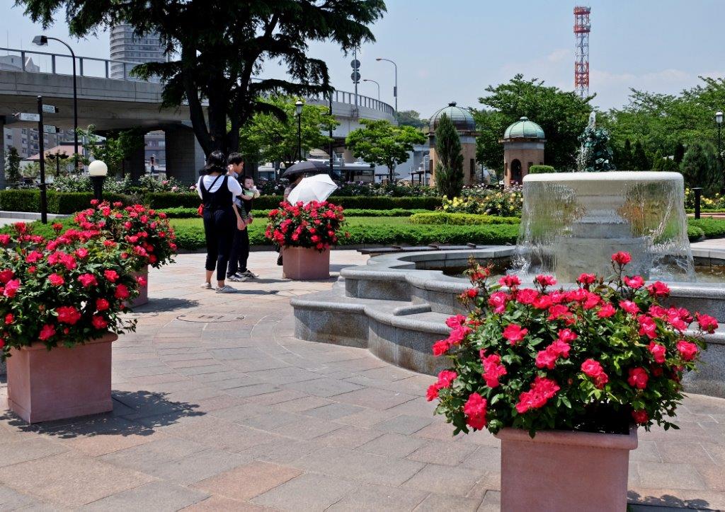 2015年05月　　薔薇の花咲くヴェルニー公園_c0094546_14341371.jpg