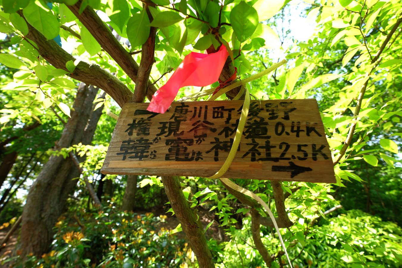 a0317247_1613050.jpg