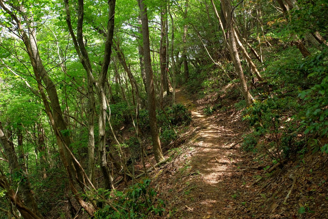 a0317247_17501794.jpg