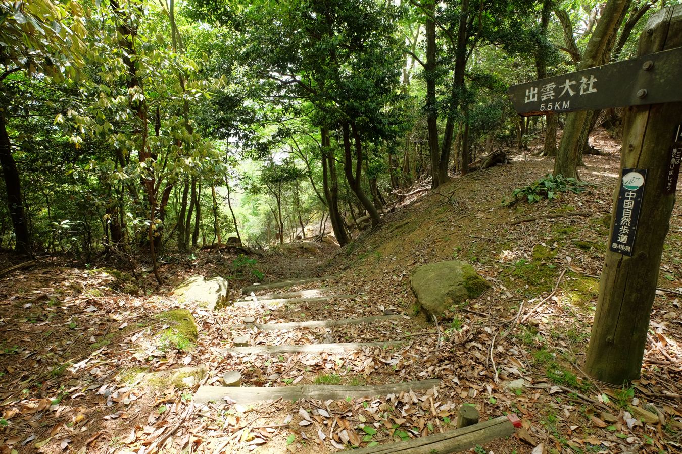 a0317247_18244876.jpg
