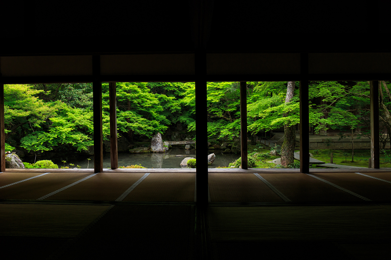 新緑の蓮華寺 花景色 K W C Photoblog 新緑の蓮華寺 花景色 K W C Photoblog
