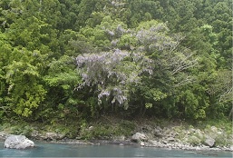 e0020752_1028426.jpg