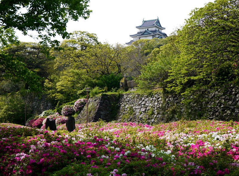 　　花のある風景_b0093754_1742680.jpg