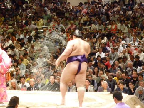 国技館 平成27年5月場所 横綱・白鵬☆ 初日☆ 無念の黒星 ☆..。.゚。*・。☆_a0053662_0142343.jpg