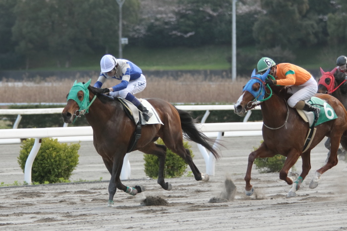 2015年3月28日（土） 高知競馬 3R アサヒ飲料株式会社協賛 三ツ矢の日記念特別 C3-11_a0077663_6481328.jpg