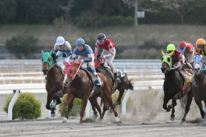 2015年3月28日（土） 高知競馬 3R アサヒ飲料株式会社協賛 三ツ矢の日記念特別 C3-11_a0077663_648433.jpg