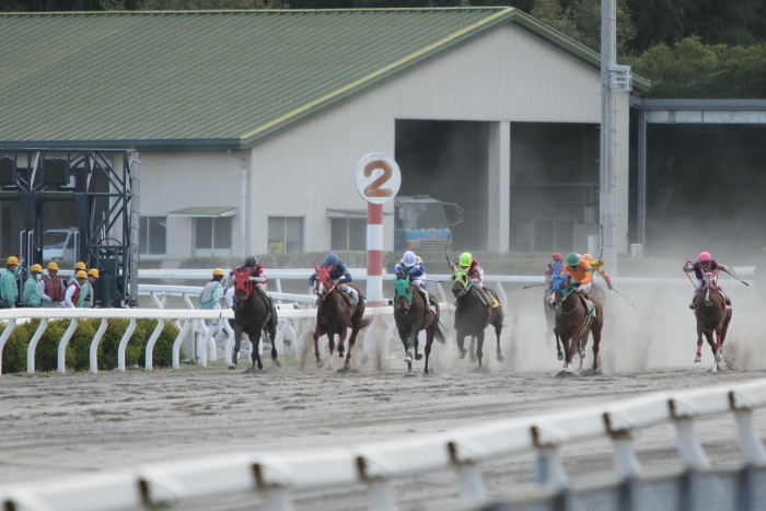2015年3月28日（土） 高知競馬 3R アサヒ飲料株式会社協賛 三ツ矢の日記念特別 C3-11_a0077663_648641.jpg