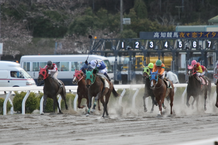 2015年3月28日（土） 高知競馬 3R アサヒ飲料株式会社協賛 三ツ矢の日記念特別 C3-11_a0077663_648890.jpg