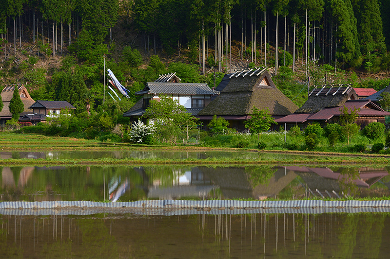 美山　初夏の訪れ_c0317868_18175918.jpg