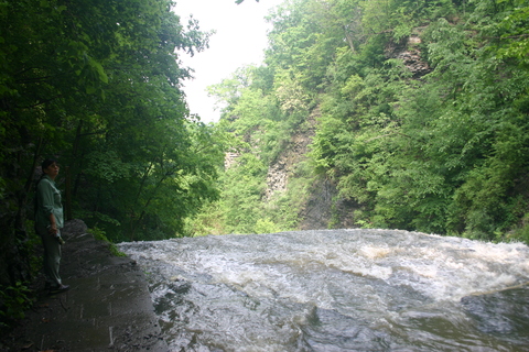 d0193569_1230668.jpg