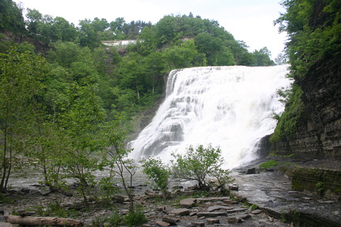 d0193569_12334197.jpg