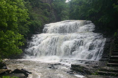 d0193569_1235256.jpg