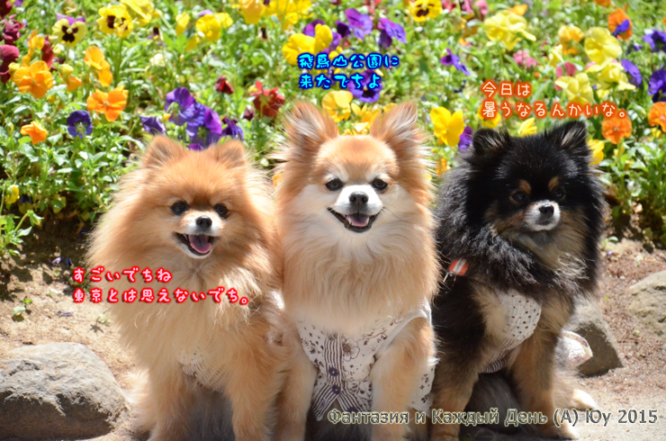 a0004070_22292758.jpg