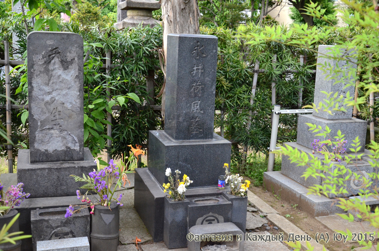 今日ものんびり都電荒川線_a0004070_23124334.jpg