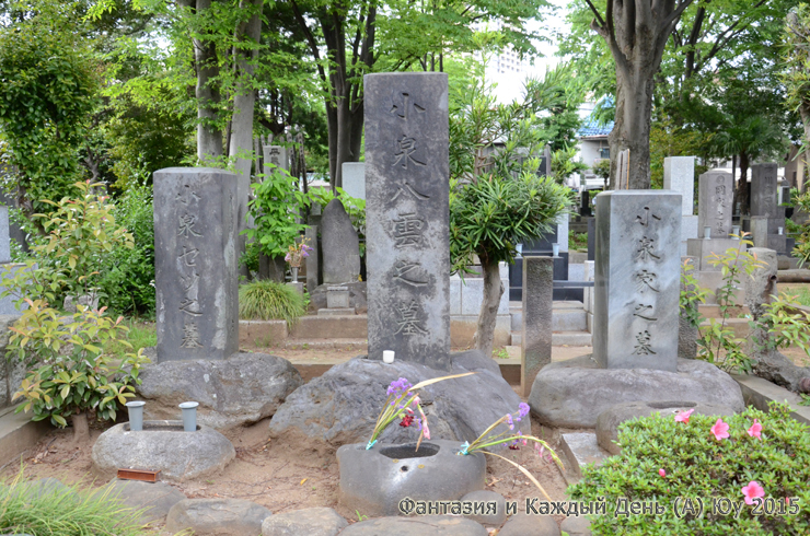 今日ものんびり都電荒川線_a0004070_23124416.jpg