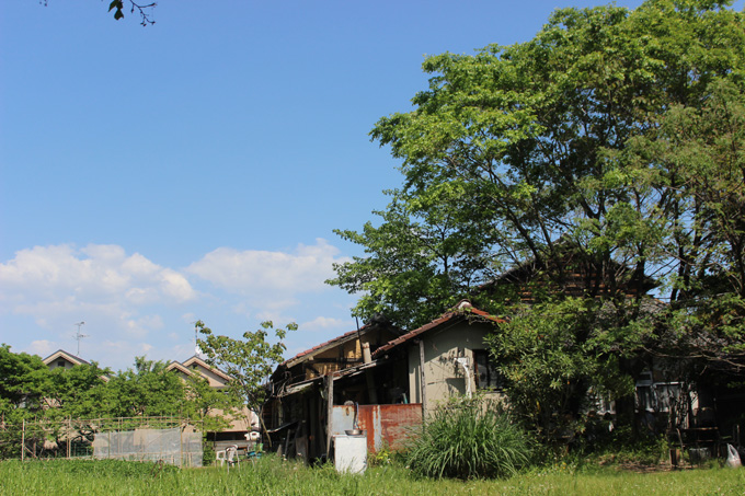 e0112077_854255.jpg