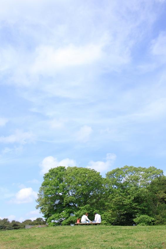 c0356480_21094528.jpg