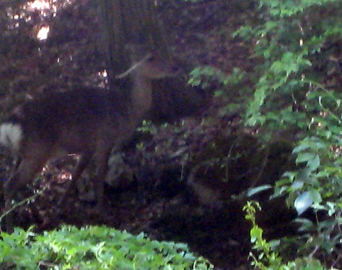 f0215785_1718958.jpg