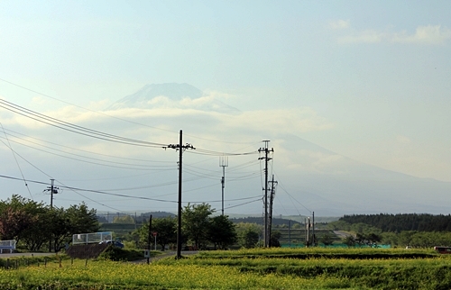 d0103292_22551119.jpg