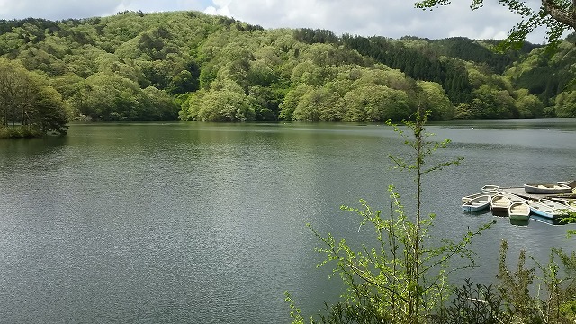 c0107402_2361891.jpg
