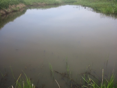 f0082402_20294836.jpg